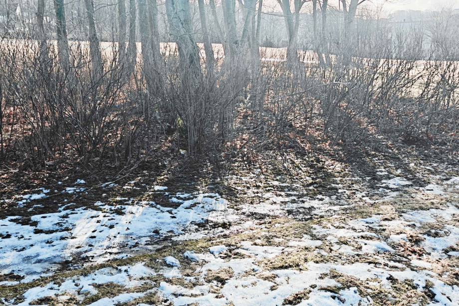 Going Passionately Somewhere